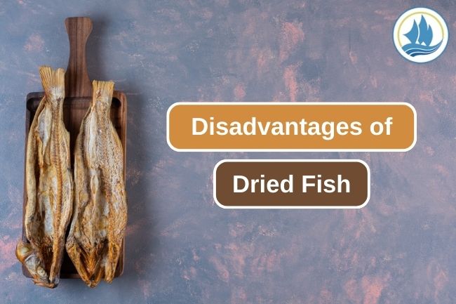 5 Reason to Considerate Using Drying Methods to Preserve Fish